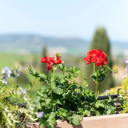 Palazzuolo San Quirico d'Orcia